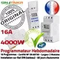 Minuterie Système Alarme 16A Rail Programmation Digital DIN 4kW Electronique Journalière Tableau 4000W électrique Minuteur