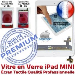 Filtre Verre Fixation Réparation Adhésif iPadMINI Ecran Nappe Bouton MINI A1432 Vitre Oléophobe Caméra Home A1455 iPad Blanc A1454 Tactile Monté Tablette