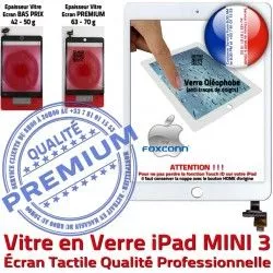 Verre Oléophobe Filtre Monté Vitre Tablette Bouton Blanc Home Réparation A1599 iPad 3 Mini3 Ecran MINI Caméra Adhésif Tactile Fixation A1600 Nappe