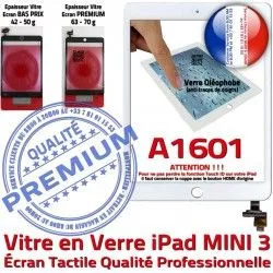 Verre iPad Tablette Bouton Vitre Mini3 Caméra Monté Réparation Filtre Tactile Oléophobe Blanc Home A1601 Adhésif Fixation Nappe Ecran