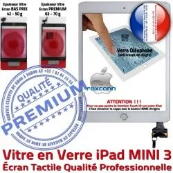 Blanc Monté Verre Nappe Réparation A1599 3 Tablette Caméra Tactile Mini3 Fixation iPad A1600 Bouton Vitre Oléophobe MINI Filtre Ecran Home Adhésif